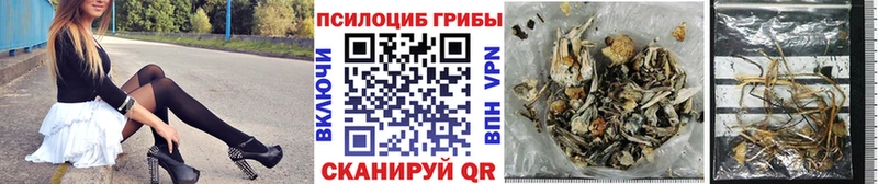 Галлюциногенные грибы мухоморы  OMG как войти  Кемь 